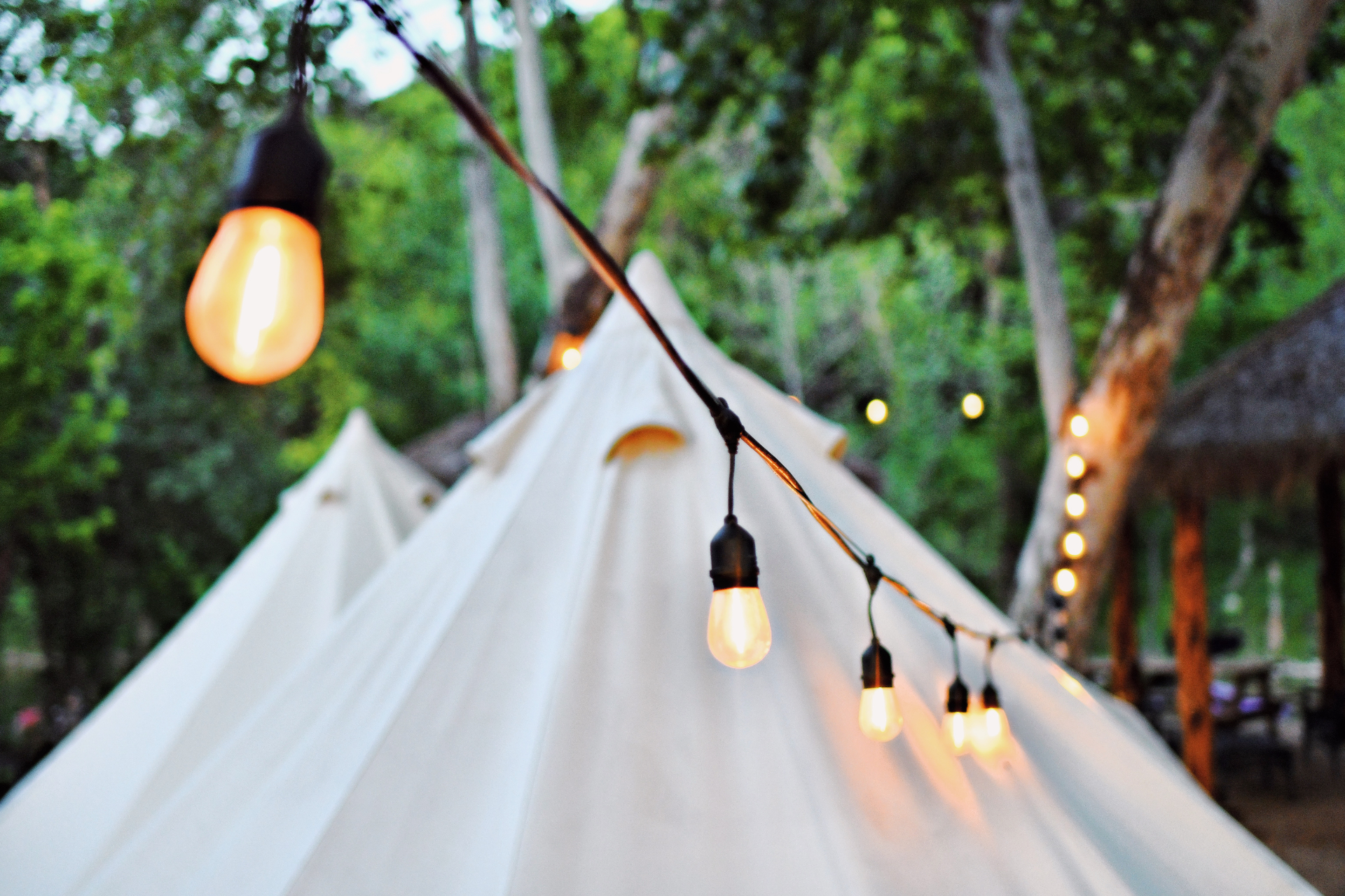 Glamping area with string lights